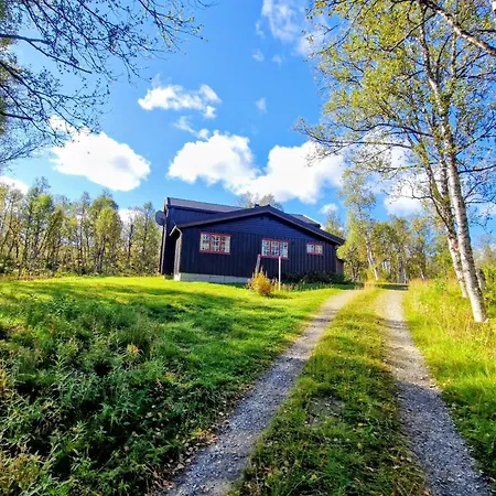 Trivelig Og Romslig Naer Roros, Rikelig Med Uteplass Holiday home